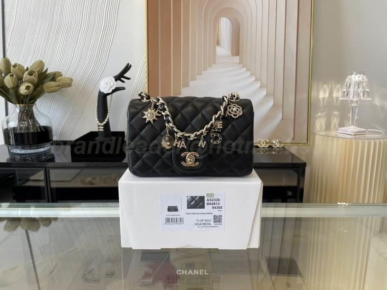 Chanel Handbags 389